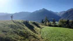 WhatsApp Image 2025 09 26 At 10.14.15